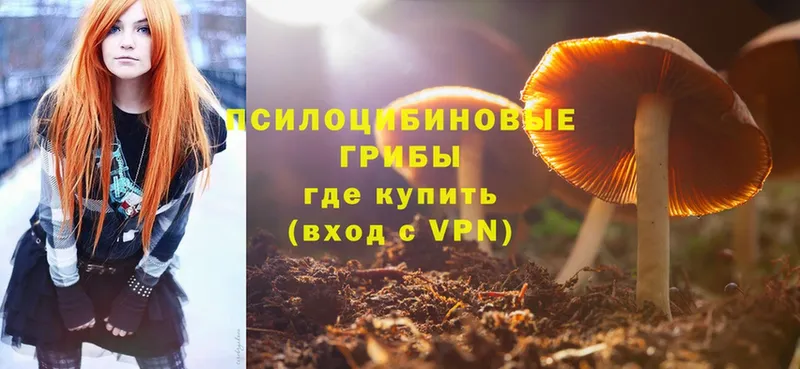 сколько стоит  сайты даркнета как зайти  Галлюциногенные грибы GOLDEN TEACHER  Бологое  гидра ссылка 